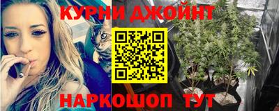 гидра Кандалакша