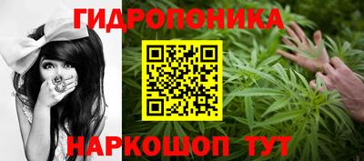 гидра Кандалакша