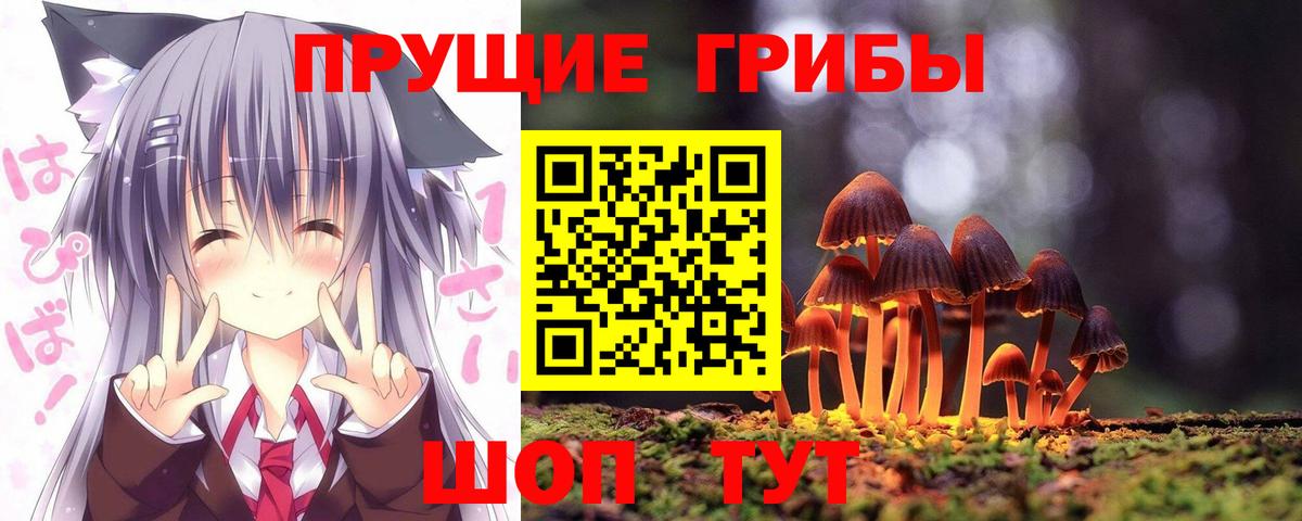Крымск  сколько стоит  Псилоцибиновые грибы Psilocybine cubensis  Вход с VPN  Псилоцибиновые грибы прущие грибы 